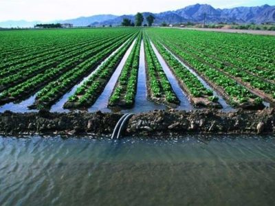 بحران فزاینده آب در البرز/زنگ خطر ناکارآمدی آبیاری سنتی