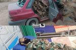 فرمانده یگان حفاظت منابع طبیعی اشتهارد در مقابله با قاچاقچیان چوب مجروح شد