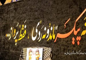 نه پیکر ماند و نه ردی ، فقط پرواز…